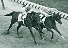 Northern Dancer on display at Woodbine