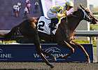 Casse Back With Strong Fillies in Bison City Casse Back With Strong Fillies in Bison City