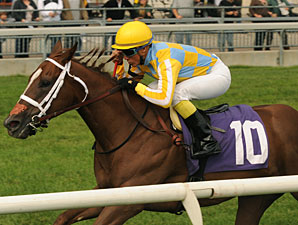 Northern Passion Starts Season in Whimsical Northern Passion Starts Season in Whimsical