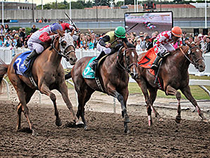 Partners to Build Racetrack Casino in Calgary Partners to Build Racetrack Casino in Calgary