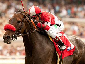Hollywood Turf Cup Up For Grabs Hollywood Turf Cup Up For Grabs