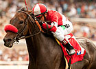 Hollywood Turf Cup Up For Grabs Hollywood Turf Cup Up For Grabs