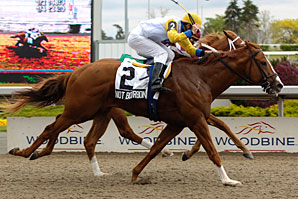 Not Bourbon Tops Queen's Plate Field Not Bourbon Tops Queen's Plate Field