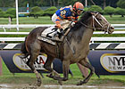 Solid Belmont Lineups for Mohawk, Ticonderoga Solid Belmont Lineups for Mohawk, Ticonderoga