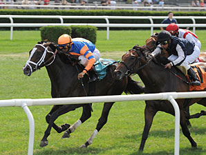 Notacatbutallama Takes Solar Splendor Stakes Notacatbutallama Takes Solar Splendor Stakes