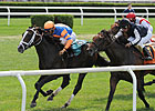 Notacatbutallama Takes Solar Splendor Stakes Notacatbutallama Takes Solar Splendor Stakes