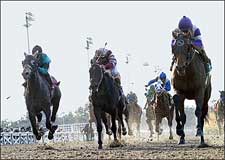 Fracture Knocks Notional Off Derby Trail Fracture Knocks Notional Off Derby Trail
