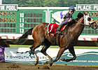 Spendthrift to Stand Three New Stallions Spendthrift to Stand Three New Stallions