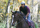 Novak at the Track: Mr. Besilu Nears Debut Novak at the Track: Mr. Besilu Nears Debut