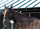 Novak at the Track: Macho's The Man