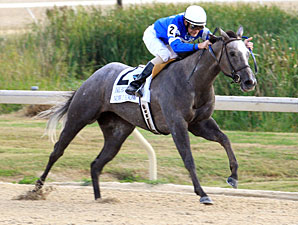 Owner/Breeder Wayne Stockseth Dies Owner/Breeder Wayne Stockseth Dies