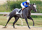 Owner/Breeder Wayne Stockseth Dies Owner/Breeder Wayne Stockseth Dies