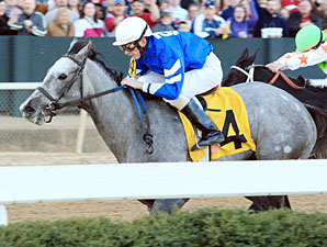 Now I Know Injured, Retired from Racing Now I Know Injured, Retired from Racing