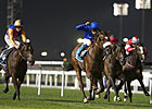 Now Spun Game Meydan Classic Winner Now Spun Game Meydan Classic Winner