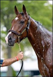 Juvenile Turf Outcome Major Victory for Gainesway Farm Juvenile Turf Outcome Major Victory for Gainesway Farm