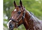 Juvenile Turf Outcome Major Victory for Gainesway Farm