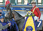 BC Winner Nownownow Tops Keeneland Session BC Winner Nownownow Tops Keeneland Session