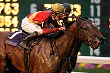 No Time Like Nownownow for Juvenile Turf Surprise No Time Like Nownownow for Juvenile Turf Surprise