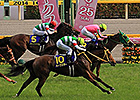 Nuovo Record Edges Harp Star in Japanese Oaks Nuovo Record Edges Harp Star in Japanese Oaks