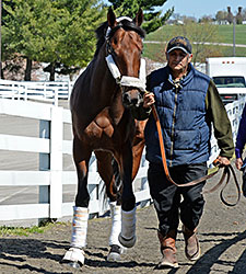 Undefeated Nyquist Arrives at Keeneland