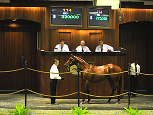 Prices Surge During OBS Select Session Prices Surge During OBS Select Session
