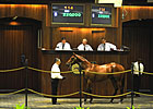 Prices Surge During OBS Select Session Prices Surge During OBS Select Session