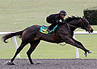 Midshipman Colt Posts Fastest Ocala Drill Midshipman Colt Posts Fastest Ocala Drill