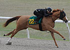 OBS Combines February, March Sales for 2011 OBS Combines February, March Sales for 2011