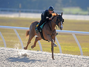 OBS Under Tack Begins June 15 OBS Under Tack Begins June 15