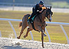 OBS Spring Under Tack Show Starts Tuesday OBS Spring Under Tack Show Starts Tuesday