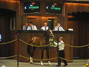 A.P. Indy Colt Brings $675,000 at OBS A.P. Indy Colt Brings $675,000 at OBS