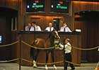A.P. Indy Colt Brings $675,000 at OBS 