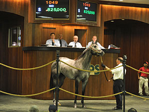 Macho Uno Colt Tops OBSC Sale at $825,000 Macho Uno Colt Tops OBSC Sale at $825,000