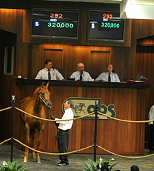 Numbers Soar at OBS Spring Juvenile Sale Numbers Soar at OBS Spring Juvenile Sale