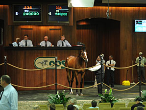 OBS Juvenile Sale Continues to Show Strength OBS Juvenile Sale Continues to Show Strength