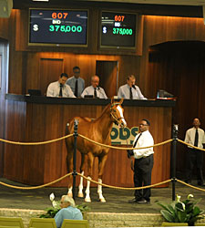 Record March Continues at OBS Spring Sale Record March Continues at OBS Spring Sale