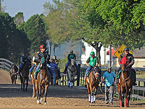 Harlan's Holiday Colt Posts Swiftest OBS Work Harlan's Holiday Colt Posts Swiftest OBS Work