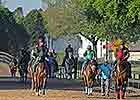 Harlan's Holiday Colt Posts Swiftest OBS Work Harlan's Holiday Colt Posts Swiftest OBS Work