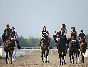 Street Boss Colt Among Top OBS Day 2 Workers Street Boss Colt Among Top OBS Day 2 Workers