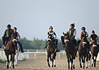 Street Boss Colt Among Top OBS Day 2 Workers Street Boss Colt Among Top OBS Day 2 Workers