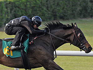 Fillies Sparkle in Furlong Drills at OBS Fillies Sparkle in Furlong Drills at OBS