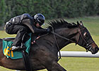 Fillies Sparkle in Furlong Drills at OBS Fillies Sparkle in Furlong Drills at OBS