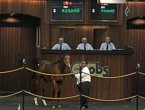 Records Fall at 'Phenomenal' OBS Spring Sale Records Fall at 'Phenomenal' OBS Spring Sale