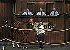 Records Fall at 'Phenomenal' OBS Spring Sale Records Fall at 'Phenomenal' OBS Spring Sale