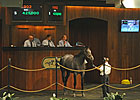 OBS Spring Sale Wraps Up Record Four-Day Run OBS Spring Sale Wraps Up Record Four-Day Run