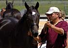 Mood  Cautious at OBS August Yearling Sale, But Prices Could  Be Solid