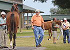 Bernstein Colt Sells for $300,000 at OBS Bernstein Colt Sells for $300,000 at OBS