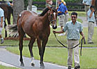 Stormello Colt Tops June OBS Finale Stormello Colt Tops June OBS Finale