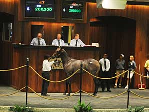 OBS Yearling Sale Struggles at Start OBS Yearling Sale Struggles at Start