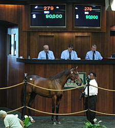 OBS Yearling Sale Still Surging on Day 2 OBS Yearling Sale Still Surging on Day 2